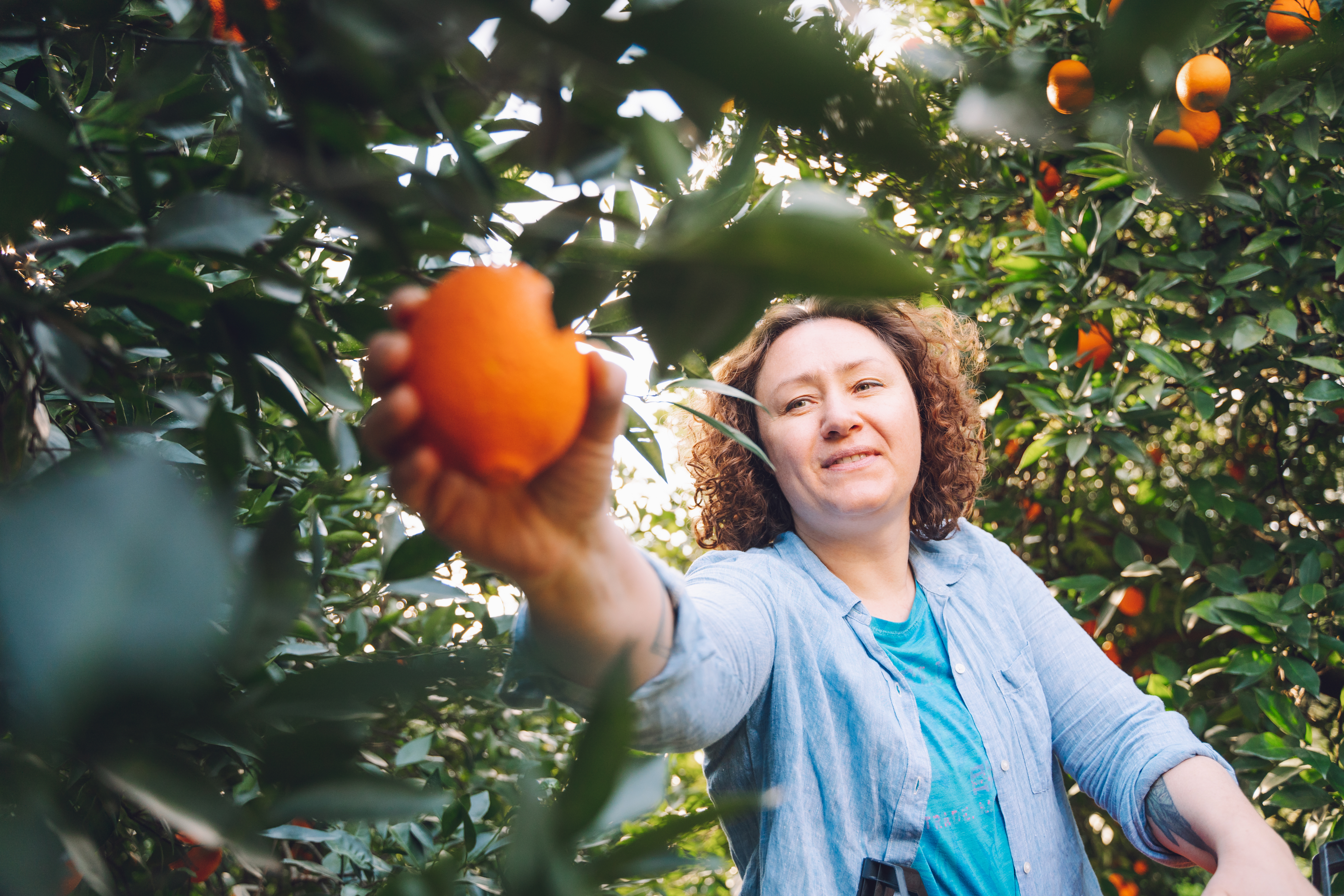 woman picking fruit