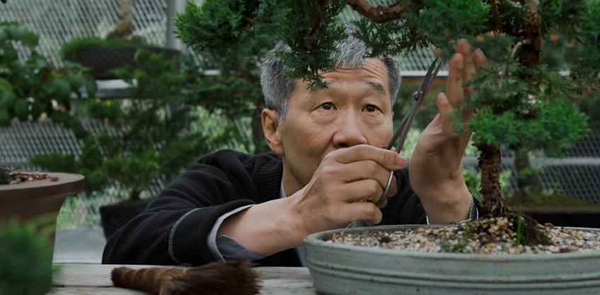 Entering your retirement